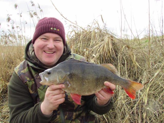 Perch fishing with lures