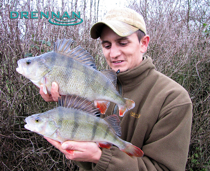 Well done to Hertfordshire’s Dan Sales who won a weekly Drennan Award in last week’s issue of Angling Times, for a huge haul of Canal Perch, topped by this 4lb 4oz fish!