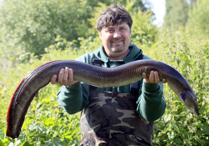 Steve Ricketts with his 9lb 13oz Eel