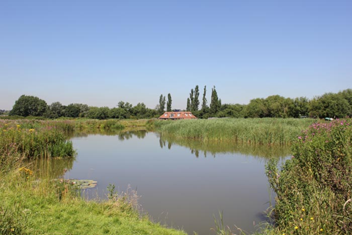 Redbridge Lakes – picture courtesy of www.redbridgelakes.co.uk