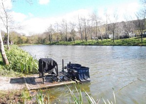 Peg 25 on Trelawney.