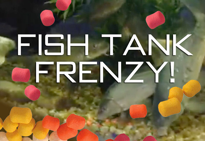 fish-tank-frenzy