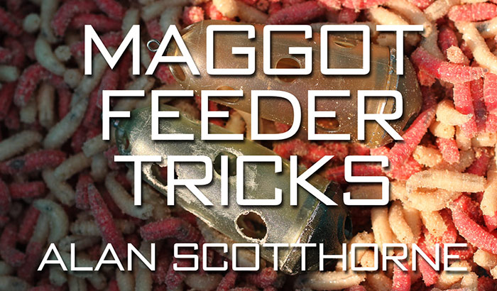maggot-feeder-tricks-video
