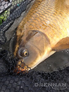 Three early carp were a great bonus.