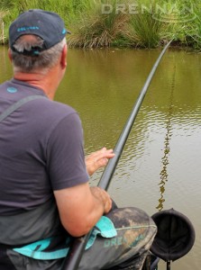 Alan fished targeted the 'mud line' tight across.