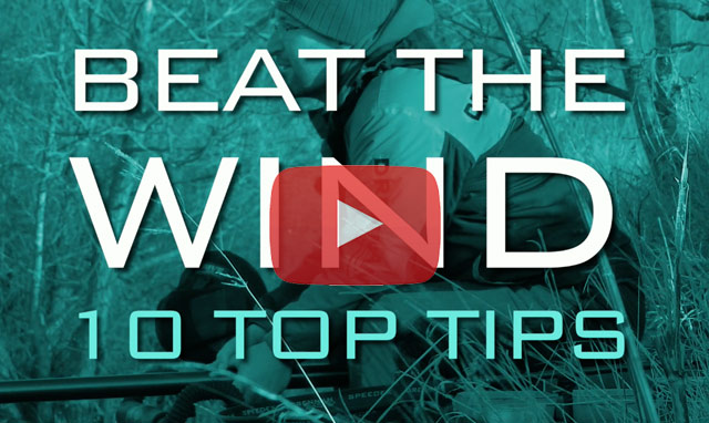 YouTube-beat-the-wind
