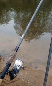 ribble-roach-feeder-rod