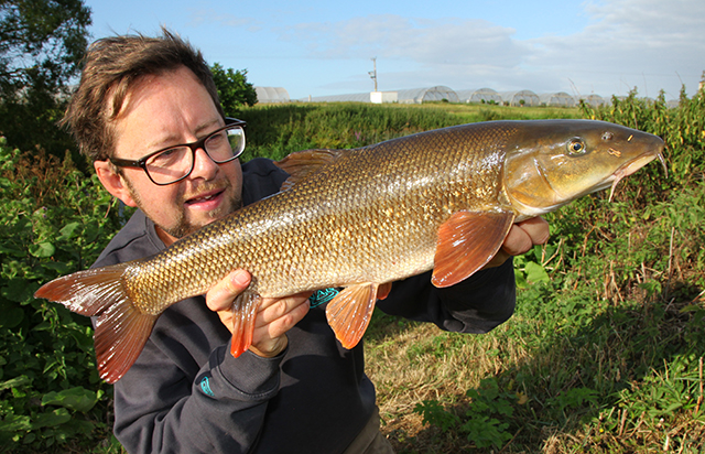 martin-barbel