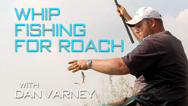 Latest Video: Whip Fishing For Roach