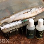 smelt-deadbait-boosted-with-oil