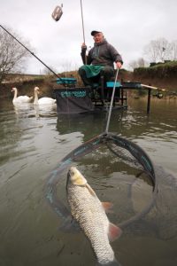 paul-glenfield-net-chub