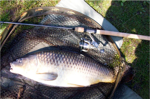 User Report: Acolyte 12ft Carp Waggler